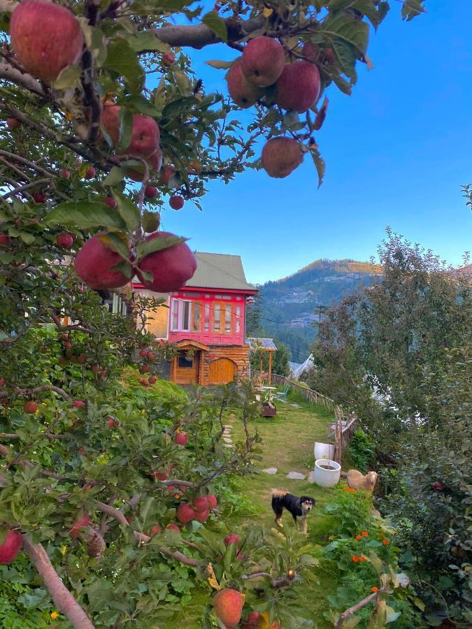 Meena Bagh Ratnari- An Apple Orchard Bungalow Bagi Bagian luar foto