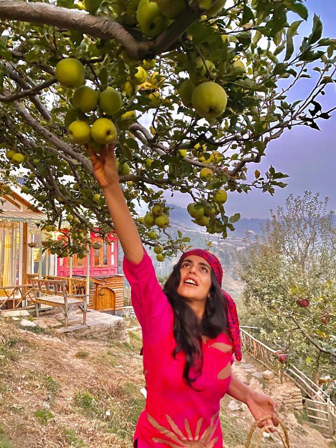 Meena Bagh Ratnari- An Apple Orchard Bungalow Bagi Bagian luar foto