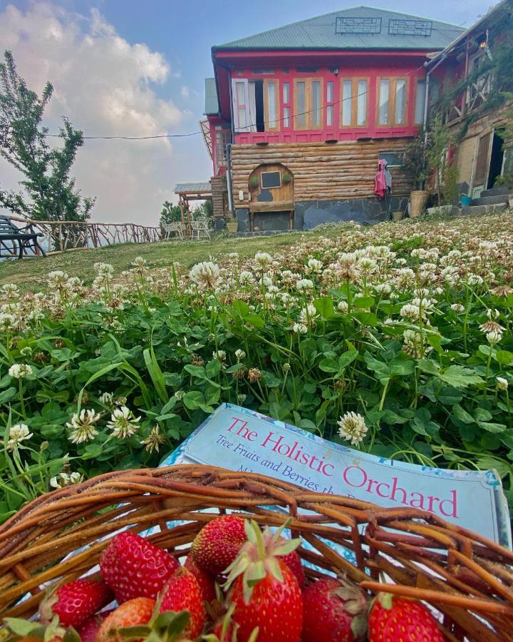 Meena Bagh Ratnari- An Apple Orchard Bungalow Bagi Bagian luar foto
