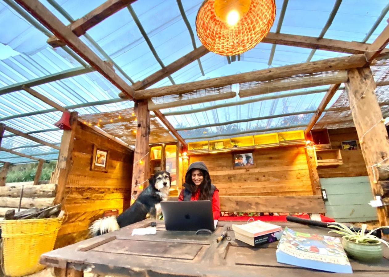 Meena Bagh Ratnari- An Apple Orchard Bungalow Bagi Bagian luar foto